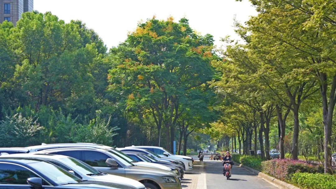 24104340rbsr.jpg
