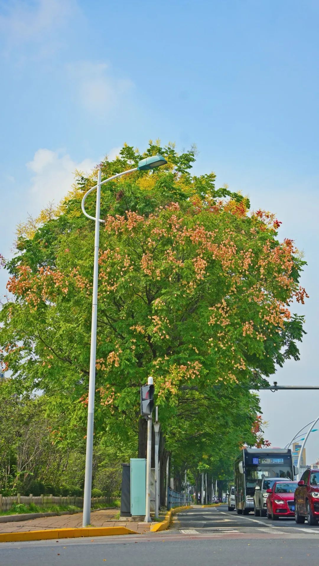 24104344zwop.jpg