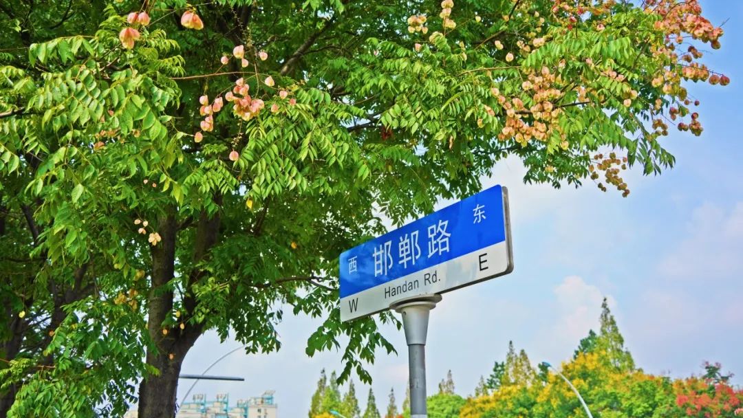 24104344uqvv.jpg