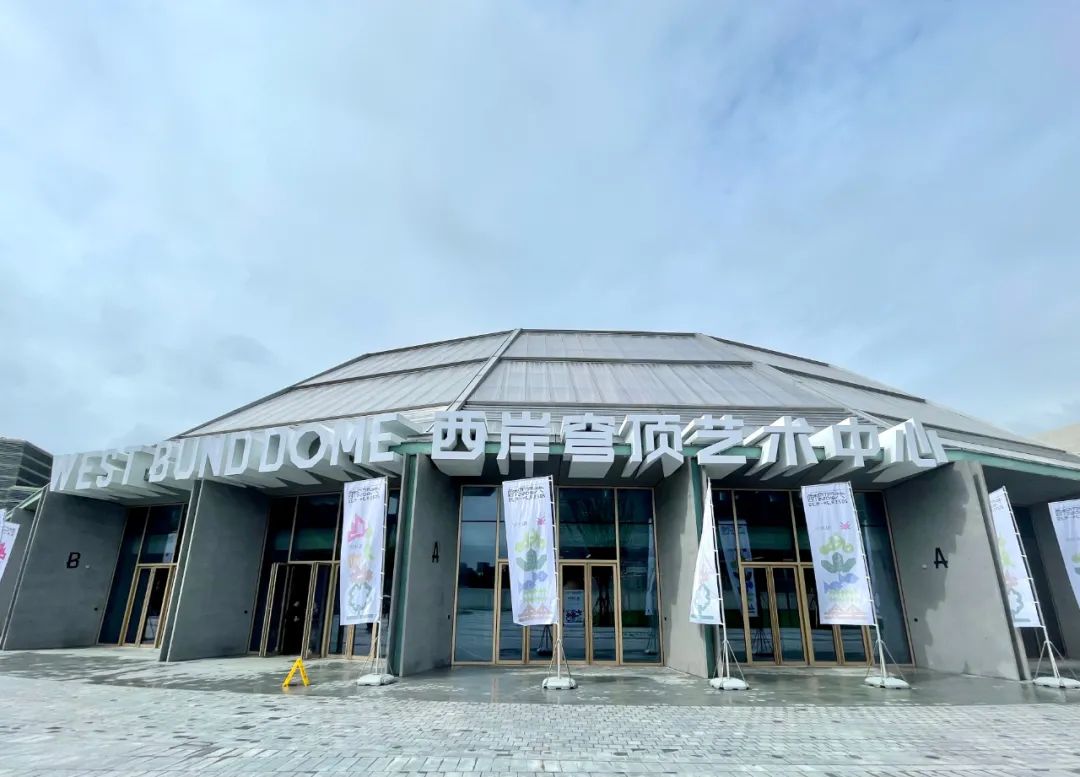 p1.jpg