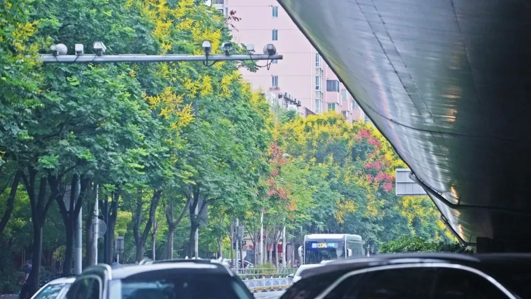 24104344j2cb.jpg